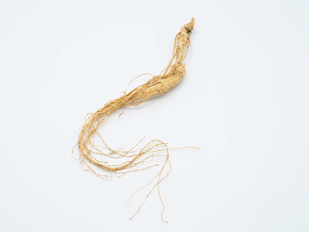 Ginseng dried material
