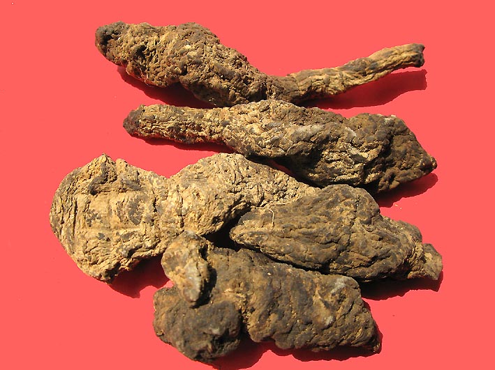 Prepared Rehmannia Root dried material