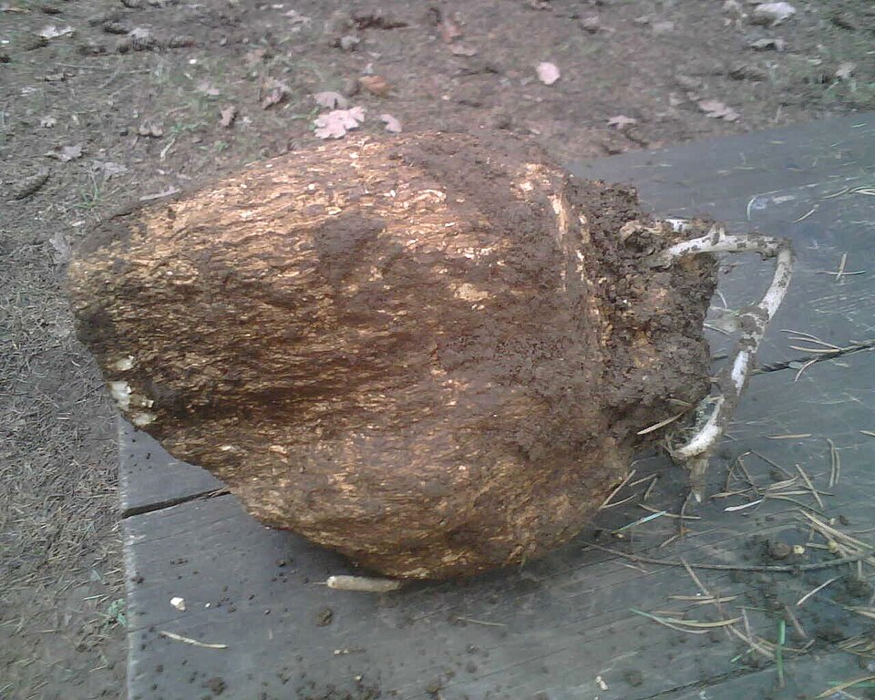 Water Draining