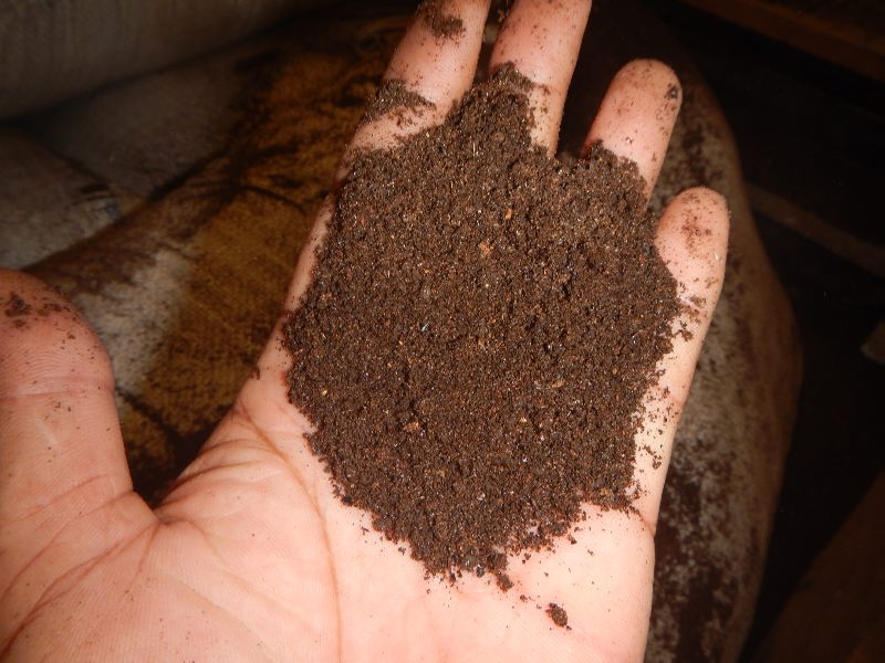 Bat Feces / Bat Guano