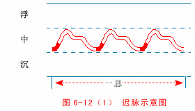 Slow Pulse