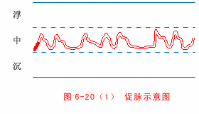 Hasty Pulse
