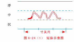 Short Pulse