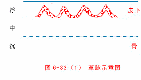 Tympanic Pulse