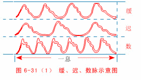 Moderate Pulse