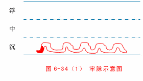 Firm Pulse