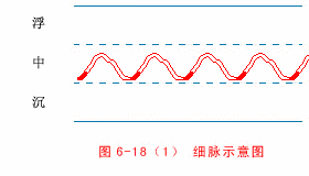 Thin Pulse
